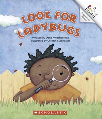 Look for Ladybugs by Dana Meachen Rau