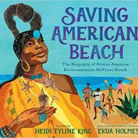 Saving American Beach by Heidi Tyline King
